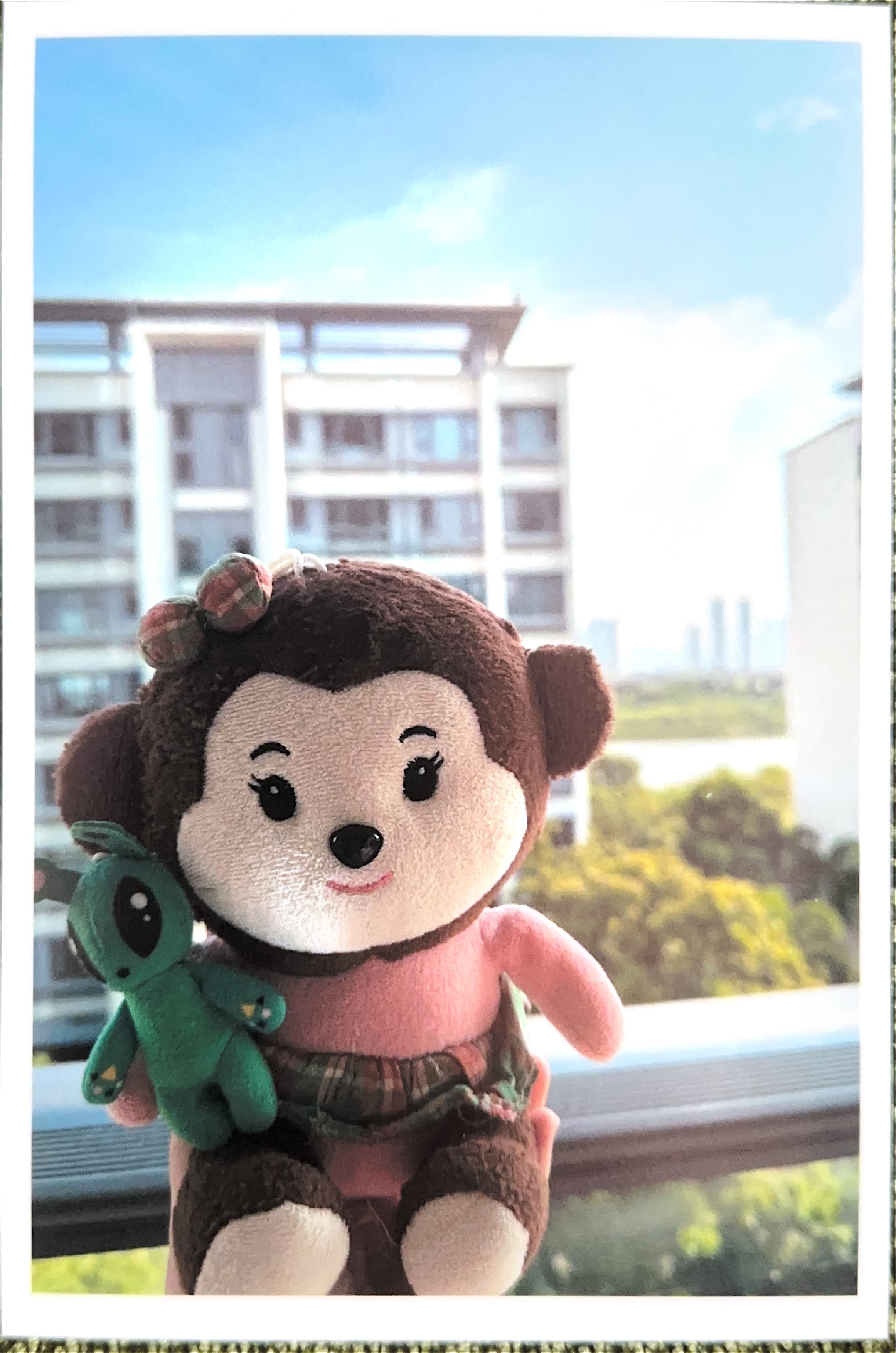 小猴的照片
